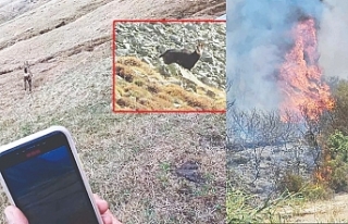 En doğal yöntem