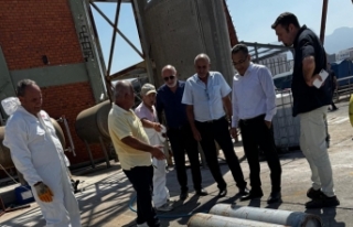 Toksik gaz bulgusu yok