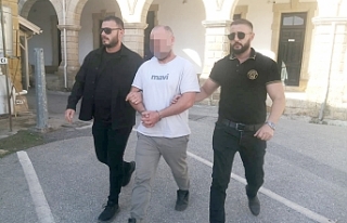 19 silah ülkeye nasıl girdi?