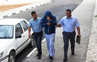 Bağlantıları araştırılıyor