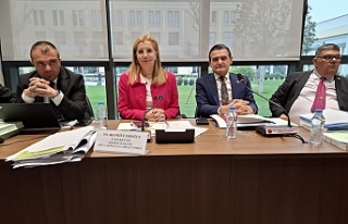 Çoğunluğu yabancı