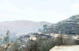 Kontrol altına alındı