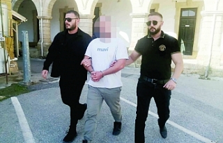 TIR’a gizledi, ülkeye soktu