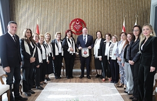 Demokrasinin  büyümesi için gerekli bir adım