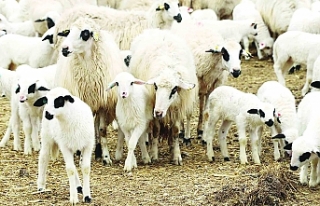 Gelir desteği alamayacak