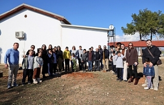 Fidanları çocuklar dikti