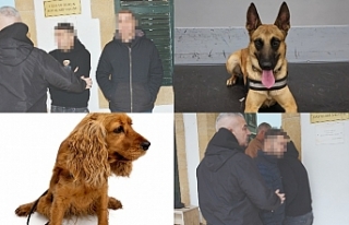 Lokum ve Pamir geçit vermedi