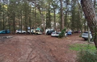 Patika’dan Orman Dairesi’ne “ücret” tepkisi