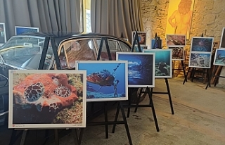 Sualtı dünyasını yansıtıyor