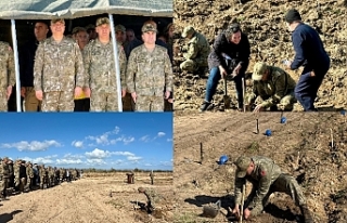 Bin 500 fidan dikildi