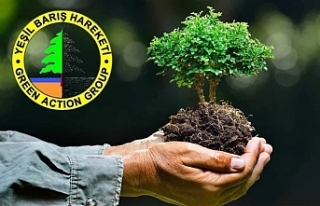 Konseyden onay çıktı