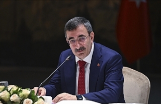 ‘Garantör ülkeyiz’