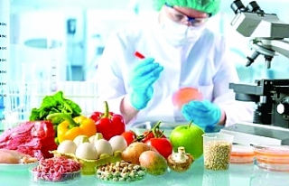 Tümü imha edilecek