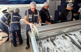 Balıklar imha edildi