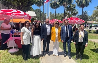 Anlamlı etkinlik