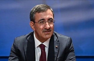 ‘Rum lobisinin etkisinde’