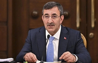 Tarihi proje için ilk adım atılacak