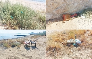 Duyarsızlık örneği