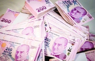 Yüzde 60 artış