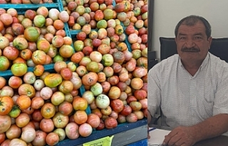 Türkiye’den 150 ton geliyor