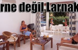 350 turistin tatili zehir oldu
