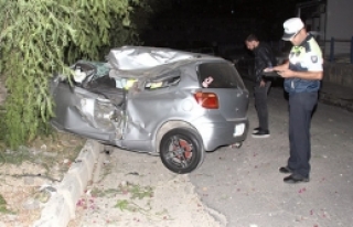Ağaca vurdu durdu