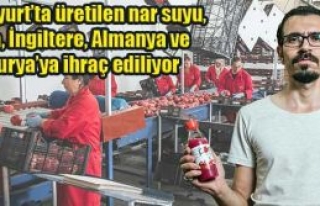 Ambargoyu kırdı