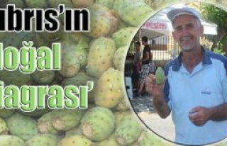 Babutsa'nın fiyatları bir türlü aşağı inmiyor