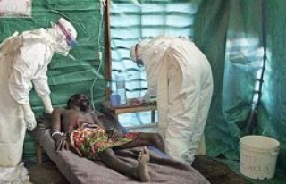 Batı afrika'da Ebola salgını