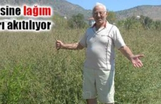 “Bir çözümü olmalı”