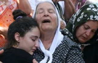  Bir ölü bin acı