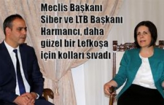 Birlikten güzellik doğacak