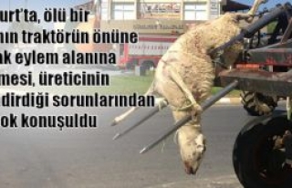 Büyük tepki topladı 