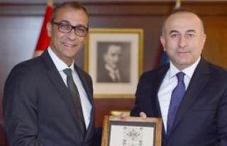 Çavuşoğlu ile Toros görüştü