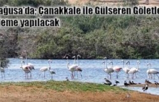 Çehresi değişecek