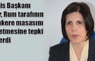 ‘Çözüm diline aykırı’