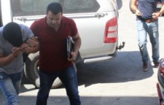 Devamı gelebilir