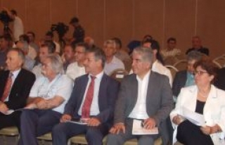 Dostluk  rüzgarı