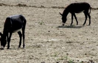 Durum tespiti yapıldı