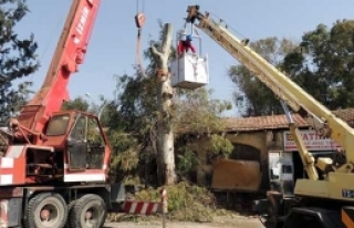 Ekonomiye katkı koyacak