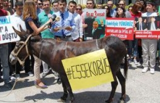 Eşekli protesto