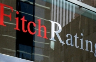 Fitch uyardı