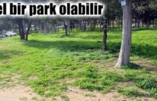 ‘Çamlık’ bölgesi, kendi kaderine terkedildi