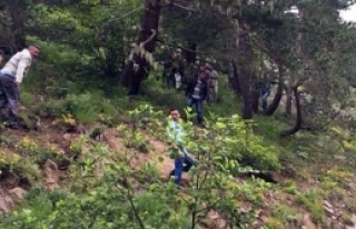 Giresun’dan acı haber