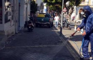 Girne’de kene alarmı