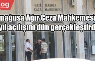 Görüşülecek 31 dava var