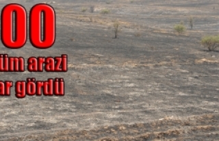  İtfaiye ekipleri seferber oldu