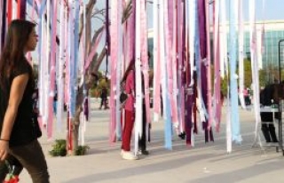 Keseler dallara asılsı