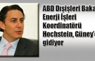 Kritik ziyaret