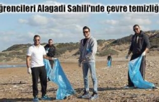 Örnek çalışma